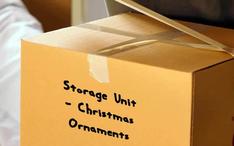 A Comprehensive Guide from Underdog Storage, Appleton, WI